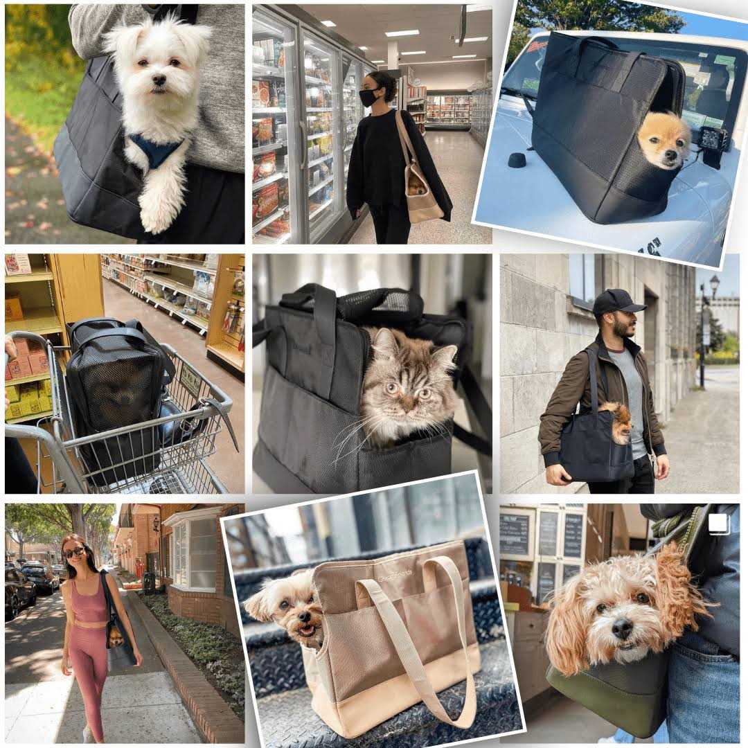 Pet Tote Bag for Small Dogs and Cats L9230