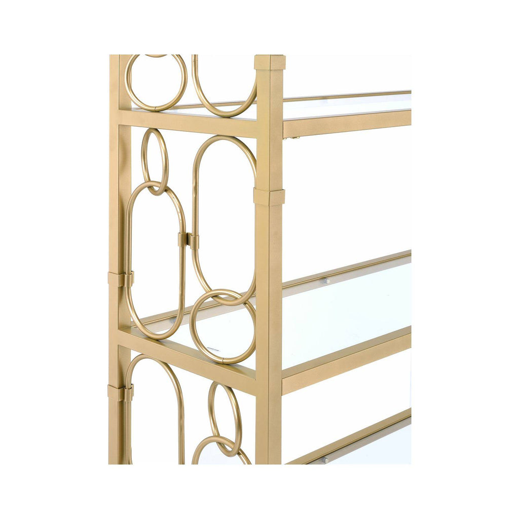 Clear Glass & Gold Bookshelf V46404