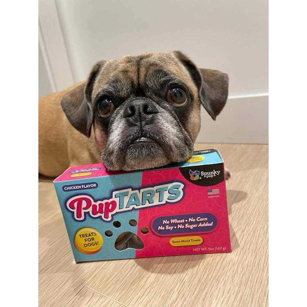 Dog Treats W763