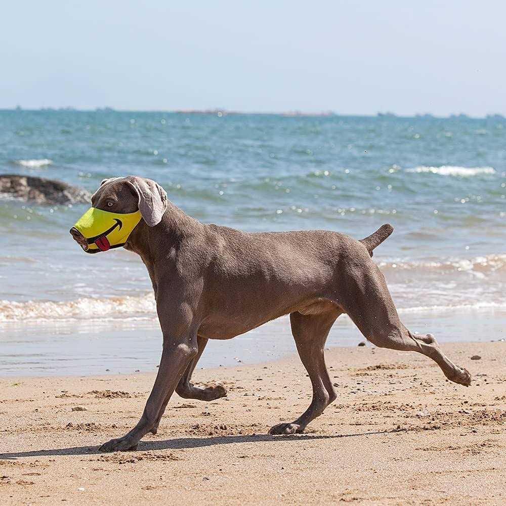 Dog Muzzle with Soft Breathable Air Mesh Nylon X556428
