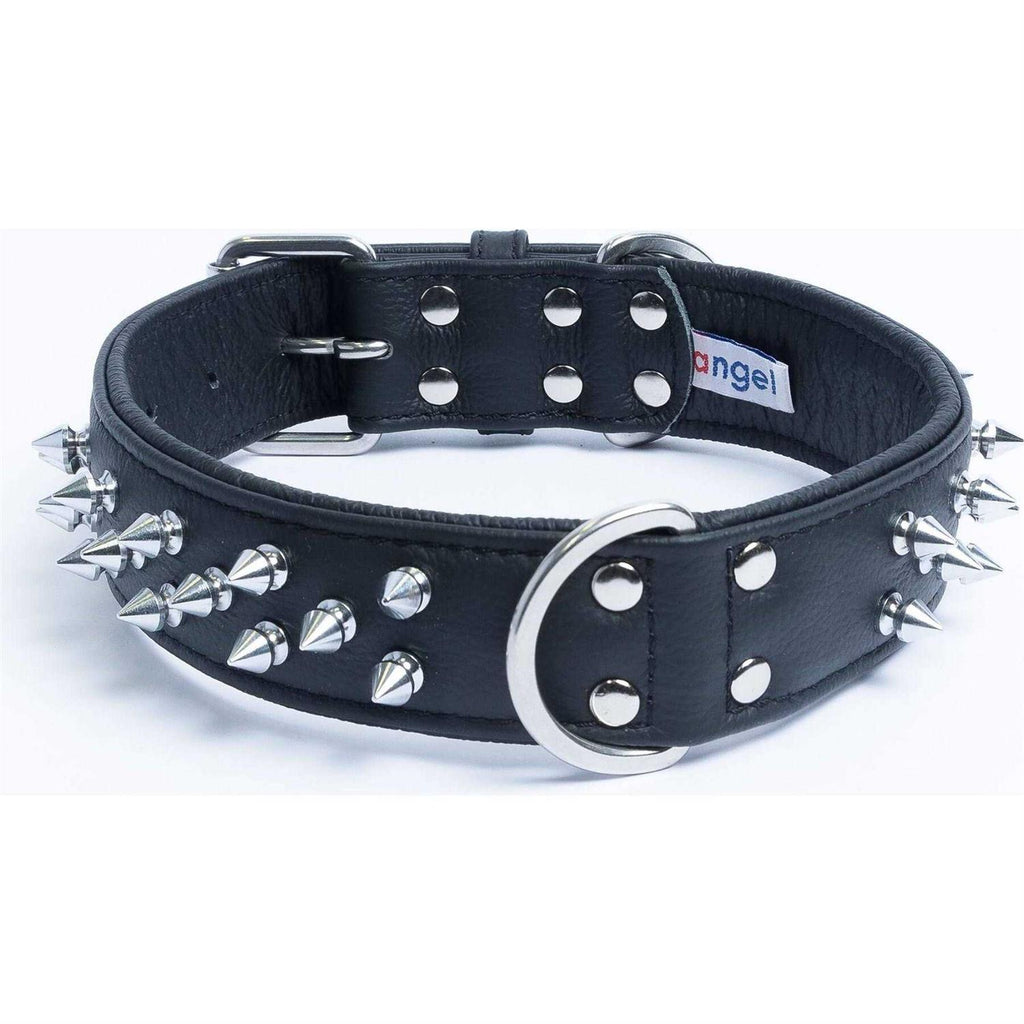 Spiked Dog Collar C934