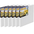Box of 6 Canvas, 20 inch x 30 inch, 11/16 inch Deep R43821
