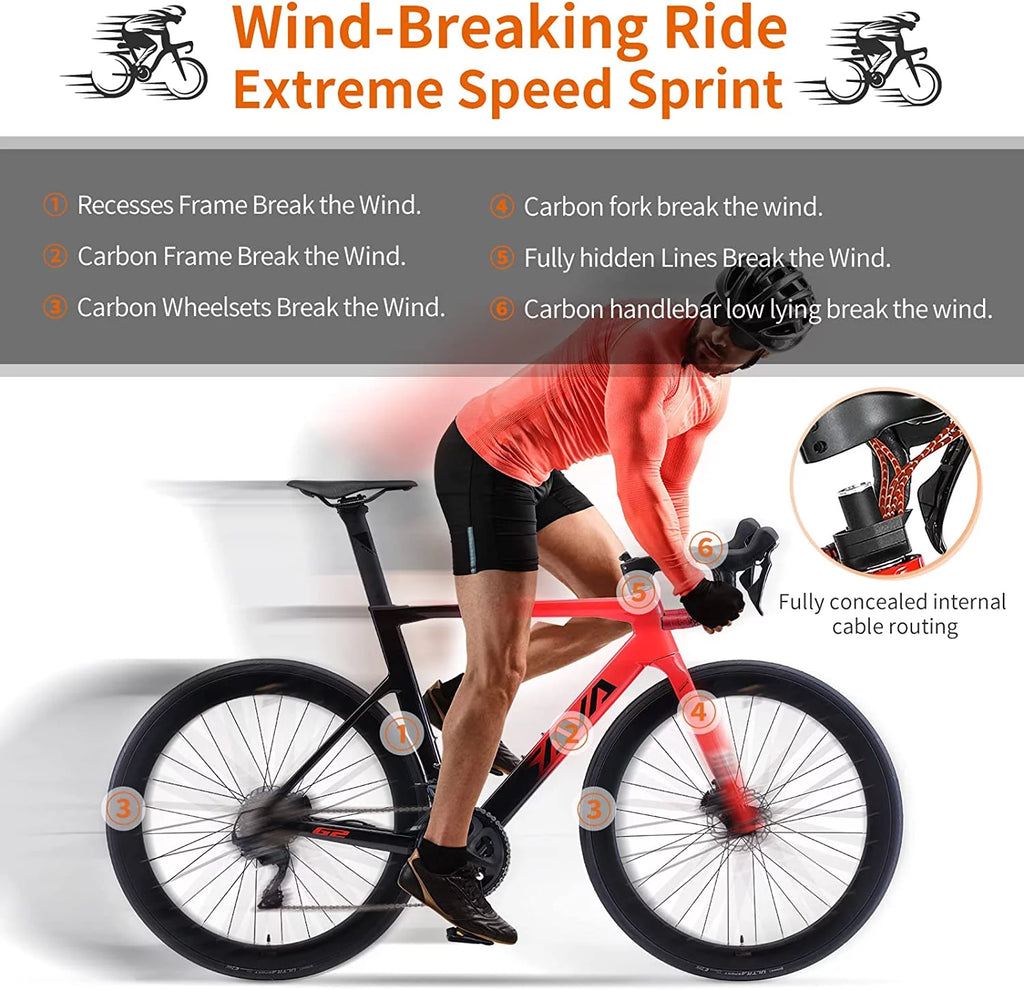 Carbon Fiber Road Bike with Hydraulic Disc Brakes D31175