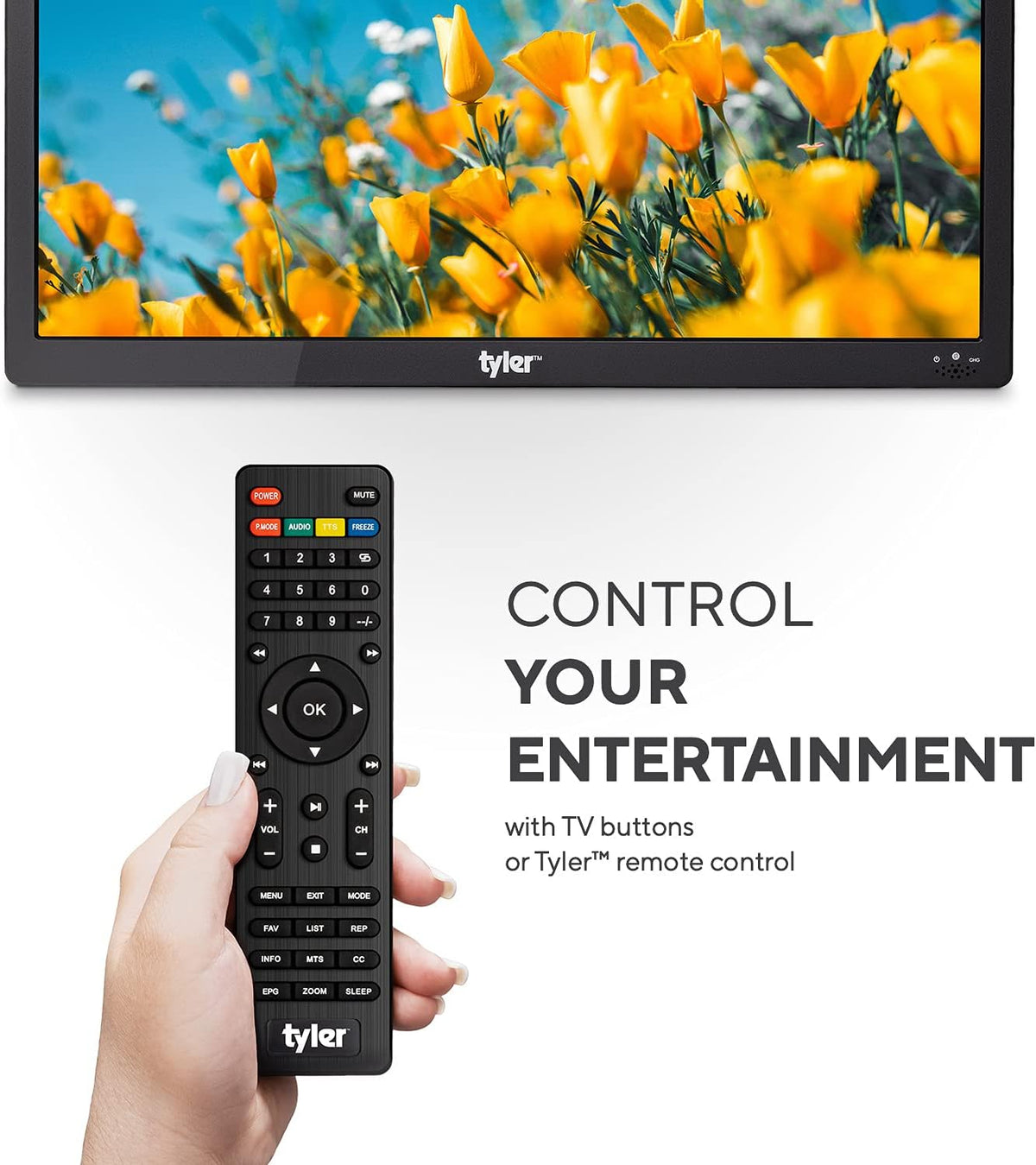 Portable Battery Powered HD-TV LCD Monitor N9309