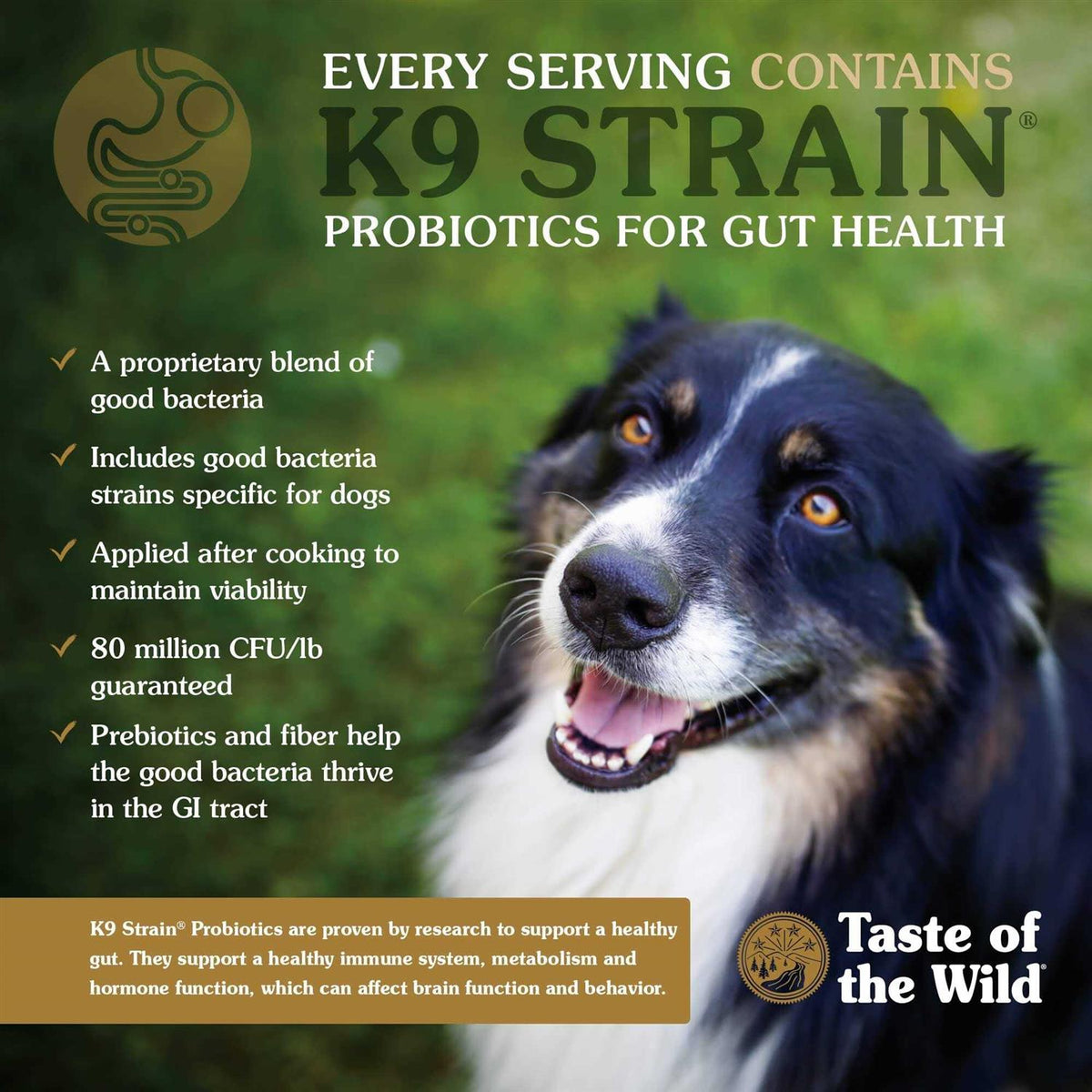 Dog Food O451