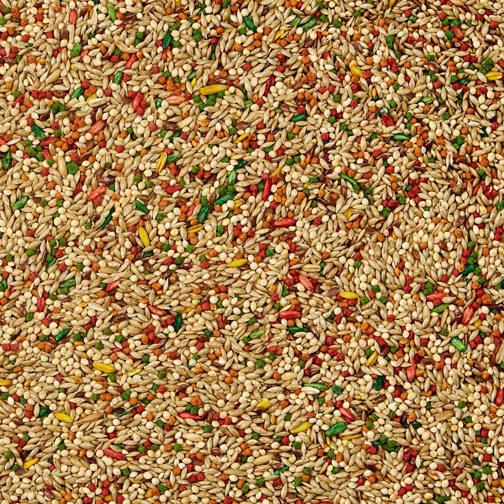 Parakeet Food J28409