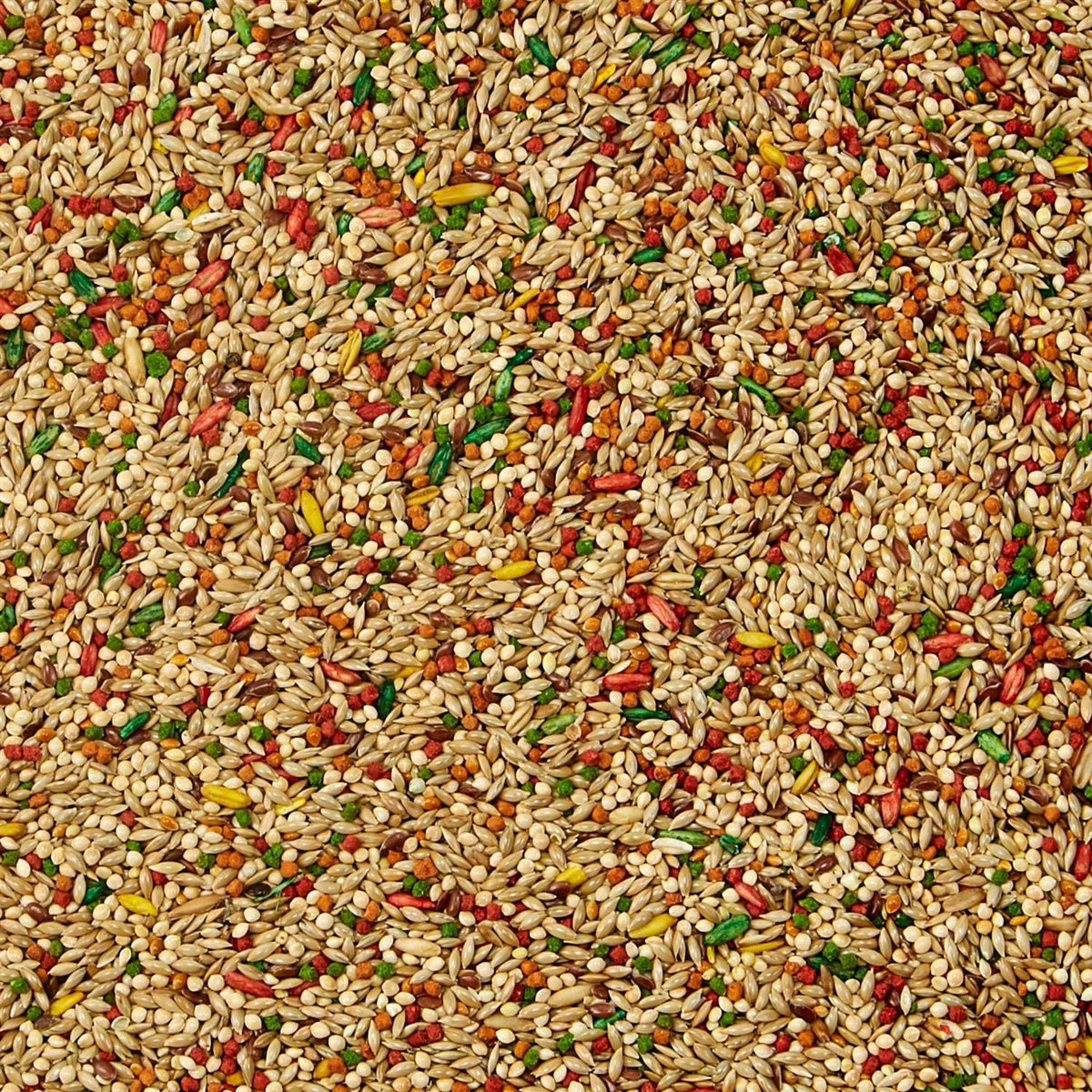 Parakeet Food J28409