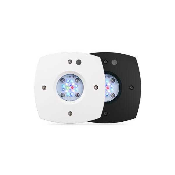 Reef LED Light T662078
