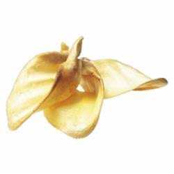 Cow Ears Pet Supplies P77729