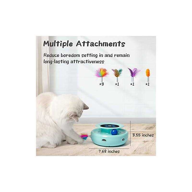 2-in-1 Interactive Automatic Cat Toy Balls Y916