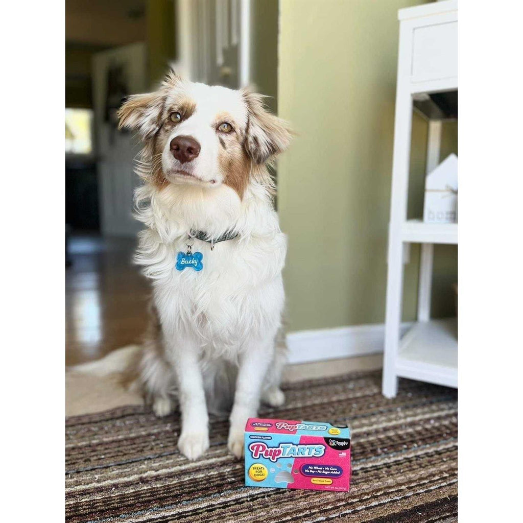 Dog Treats W763