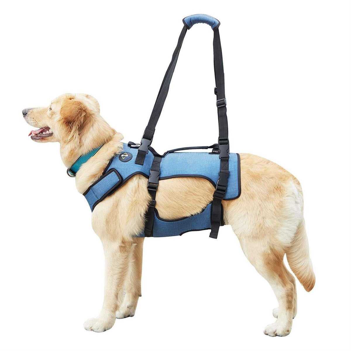 Adjustable Breathable Dog Lift Harness I4795