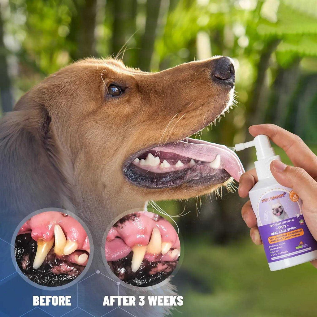 Dog Cat Oral Care Spray 5.1 Oz V49882