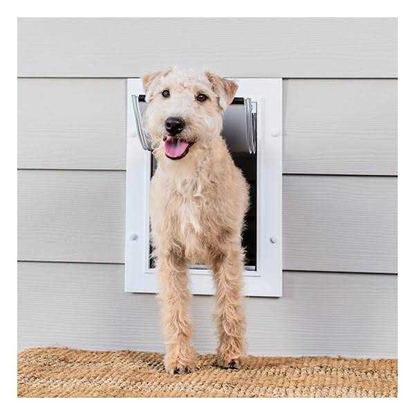 Wall Entry Pet Door I269763