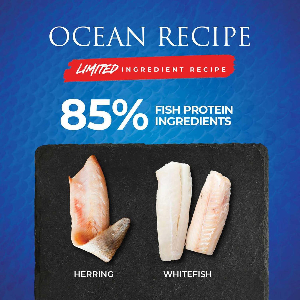 Limited Ingredient Ocean Recipe Dog Dry Food P336
