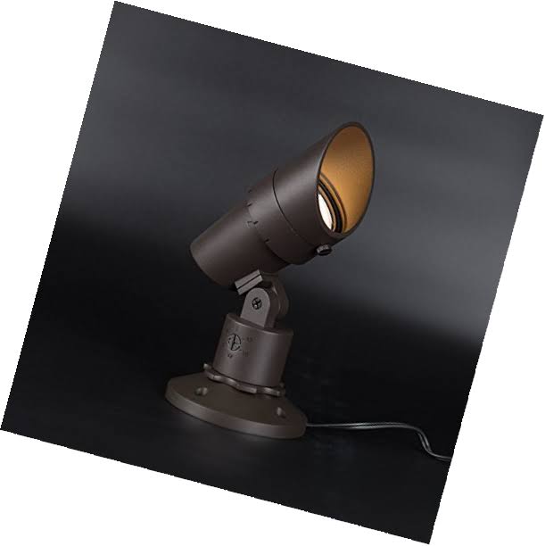 LED Accent Light R19825