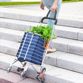 Folding Shopping Cart with Swivel Wheels and Canvas Bag D755262