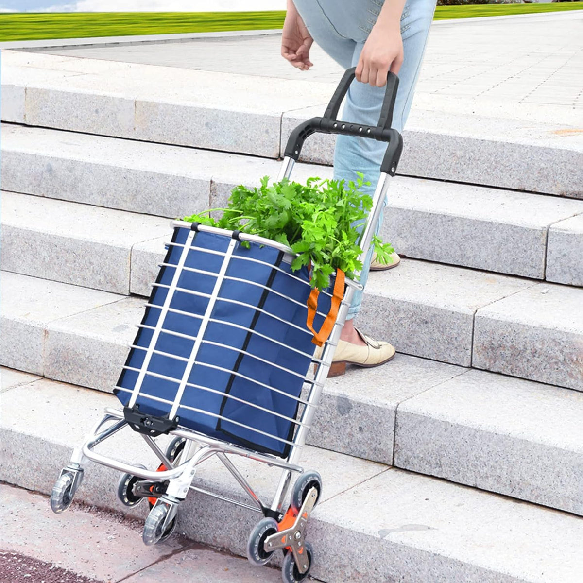 Folding Shopping Cart with Swivel Wheels and Canvas Bag D755262