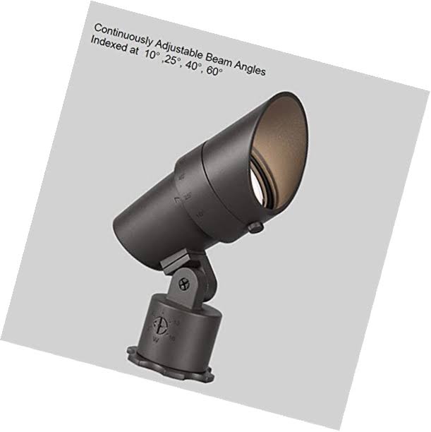 LED Accent Light R19825