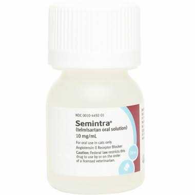 Oral Solution for Cats 10 mg/ml L529859