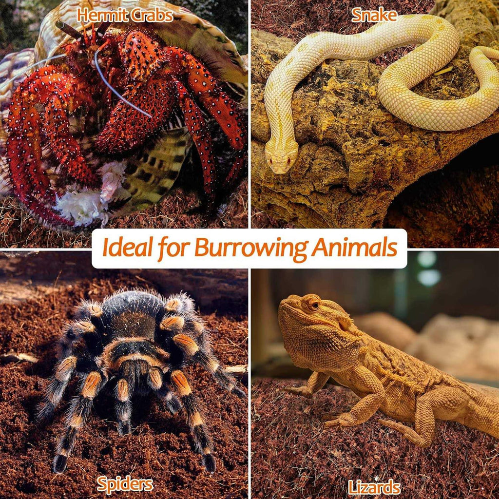 Natural Coconut Fiber Reptile Terrarium Bedding P67028