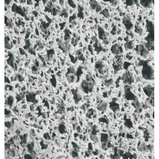 Nylon Membrane Filters Disks, 0.45 Micron Pore size, 4x22 C6087