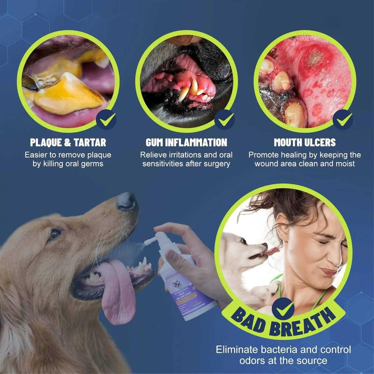 Dog Cat Oral Care Spray 5.1 Oz V49882