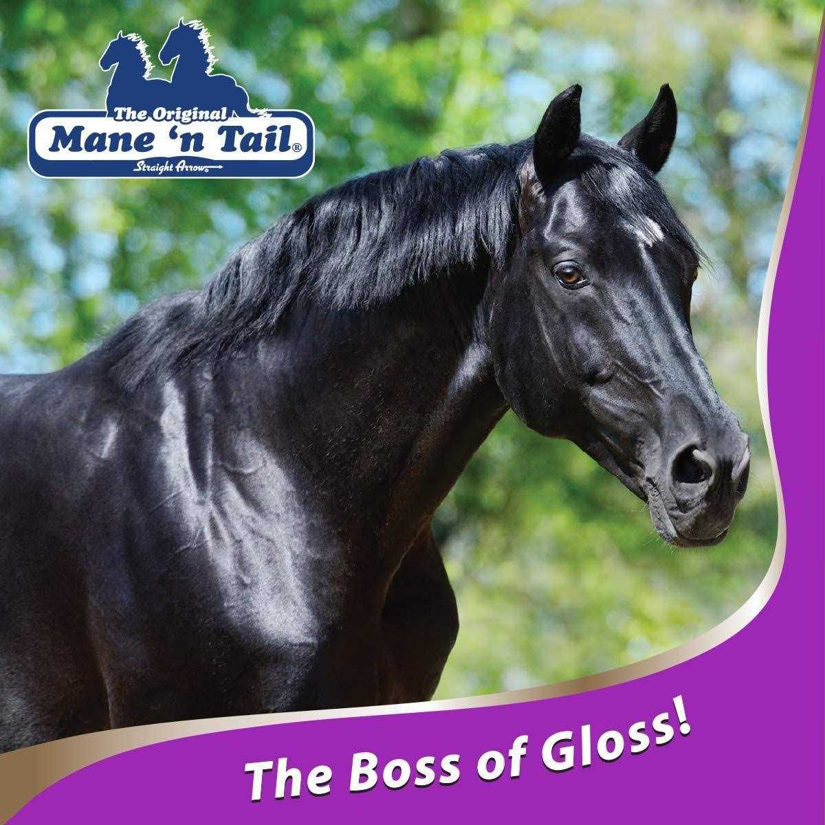 Gloss Conditioner Q89629