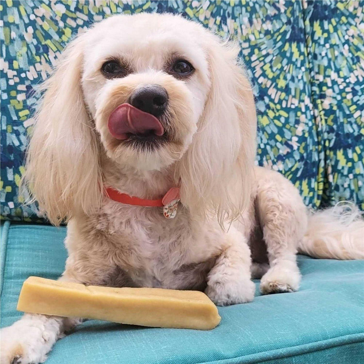 Dog Chew A3036