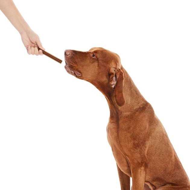 All-Natural Dental Chew Sticks M86090
