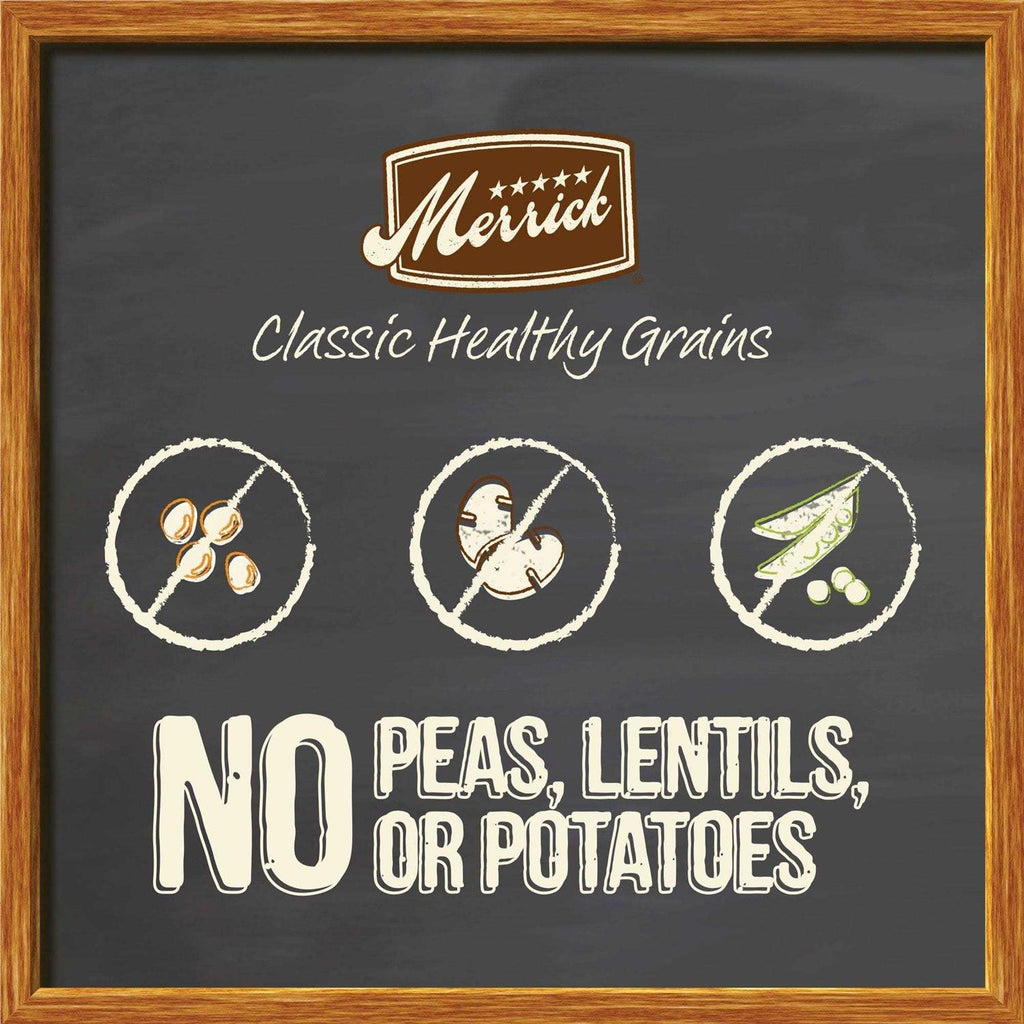 Real Ancient Grains Dry Dog Food Y92906