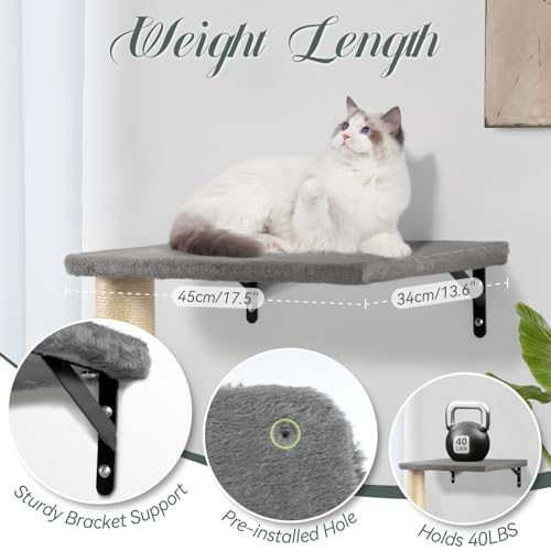 Wall Mounted Cat Furniture Set with House Steps Scratcher Hammock C33475