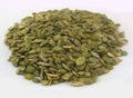 Roasted and Salted Pumpkin Seeds 2 Lbs. Z720111
