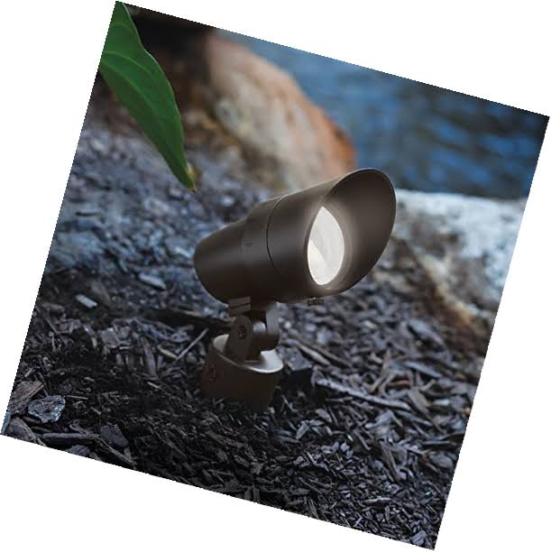 LED Accent Light R19825