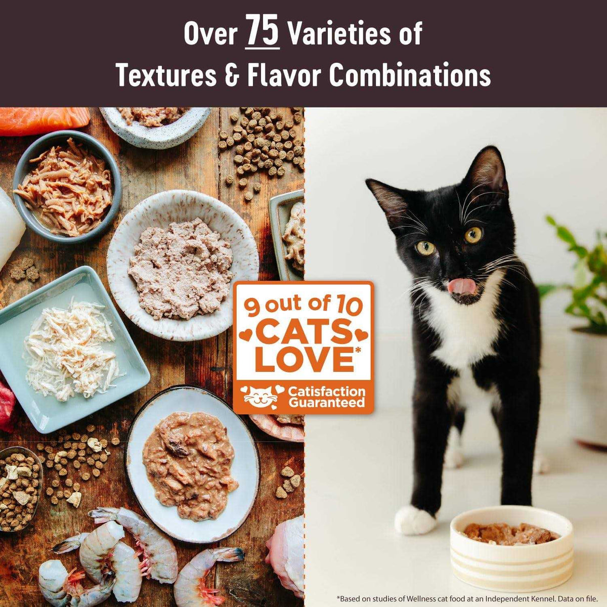 Cat Food G376
