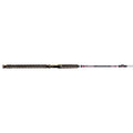 Silver Cat Magnum 10 ft Spinning Rod W693