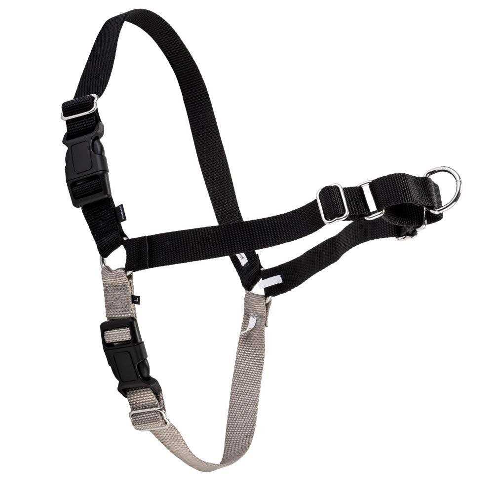 Easy Walk Dog Harness Q843163