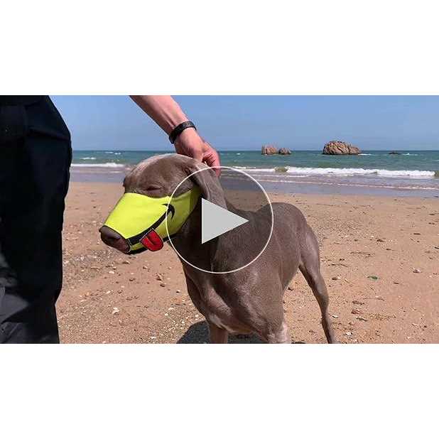 Dog Muzzle with Soft Breathable Air Mesh Nylon X556428