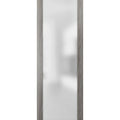 Frosted Glass Slab Barn Door Panel T8456