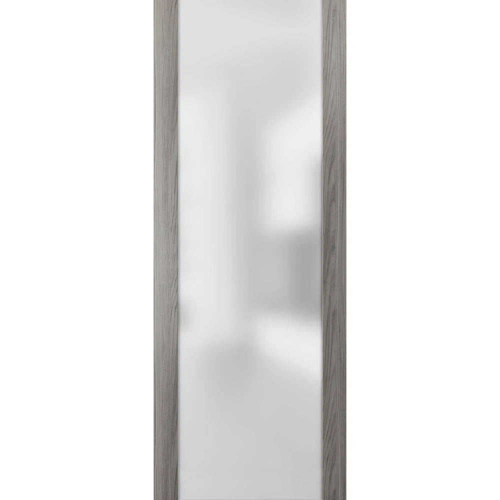 Frosted Glass Slab Barn Door Panel T8456
