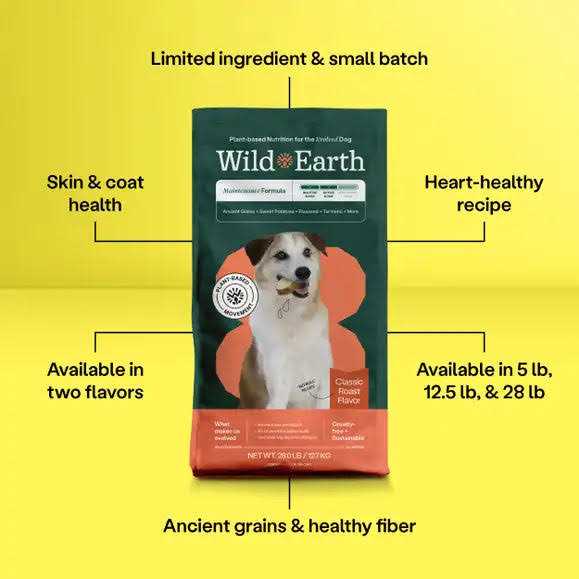 Dry Dog Food V65028