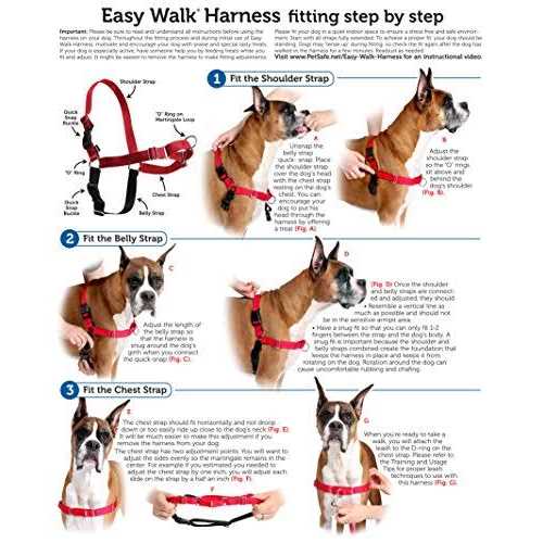 Easy Walk Dog Harness Q843163