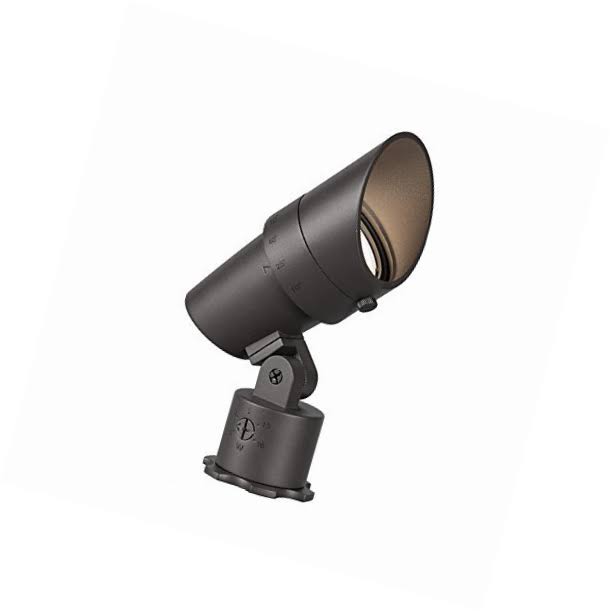 LED Accent Light R19825