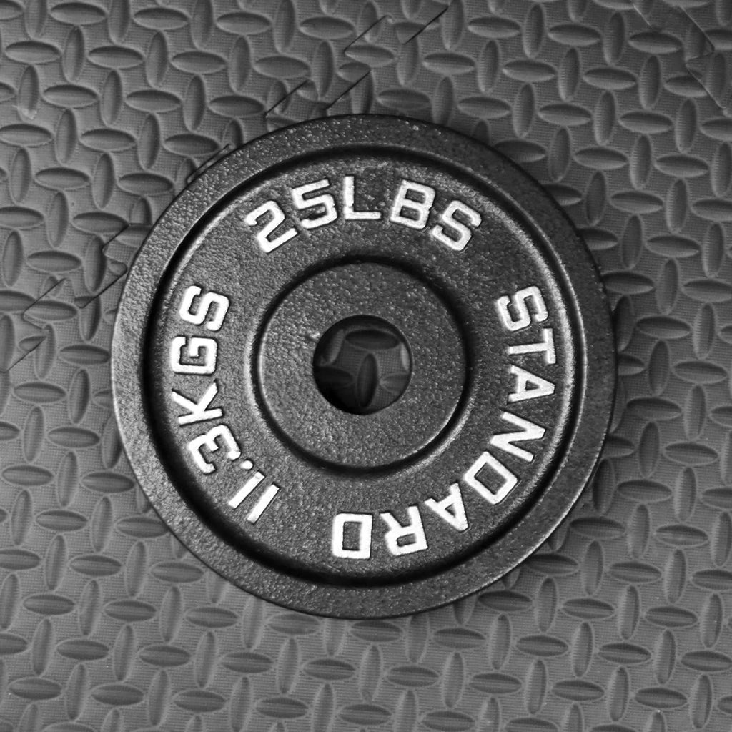 2.5lb Pair Steel Olympic Plates F25922