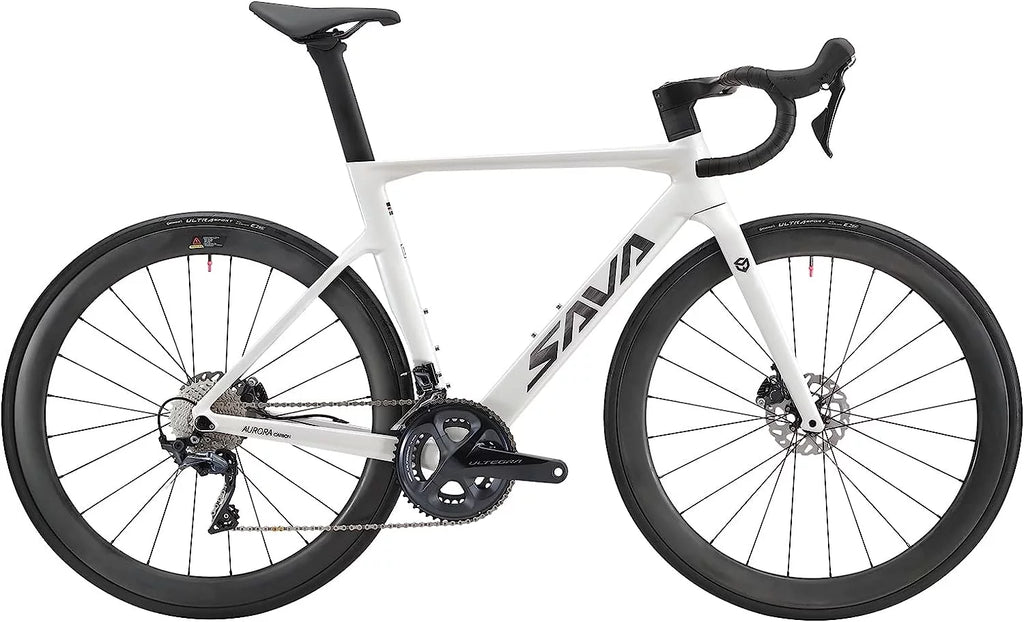Carbon Fiber Road Bike with Hydraulic Disc Brakes D31175