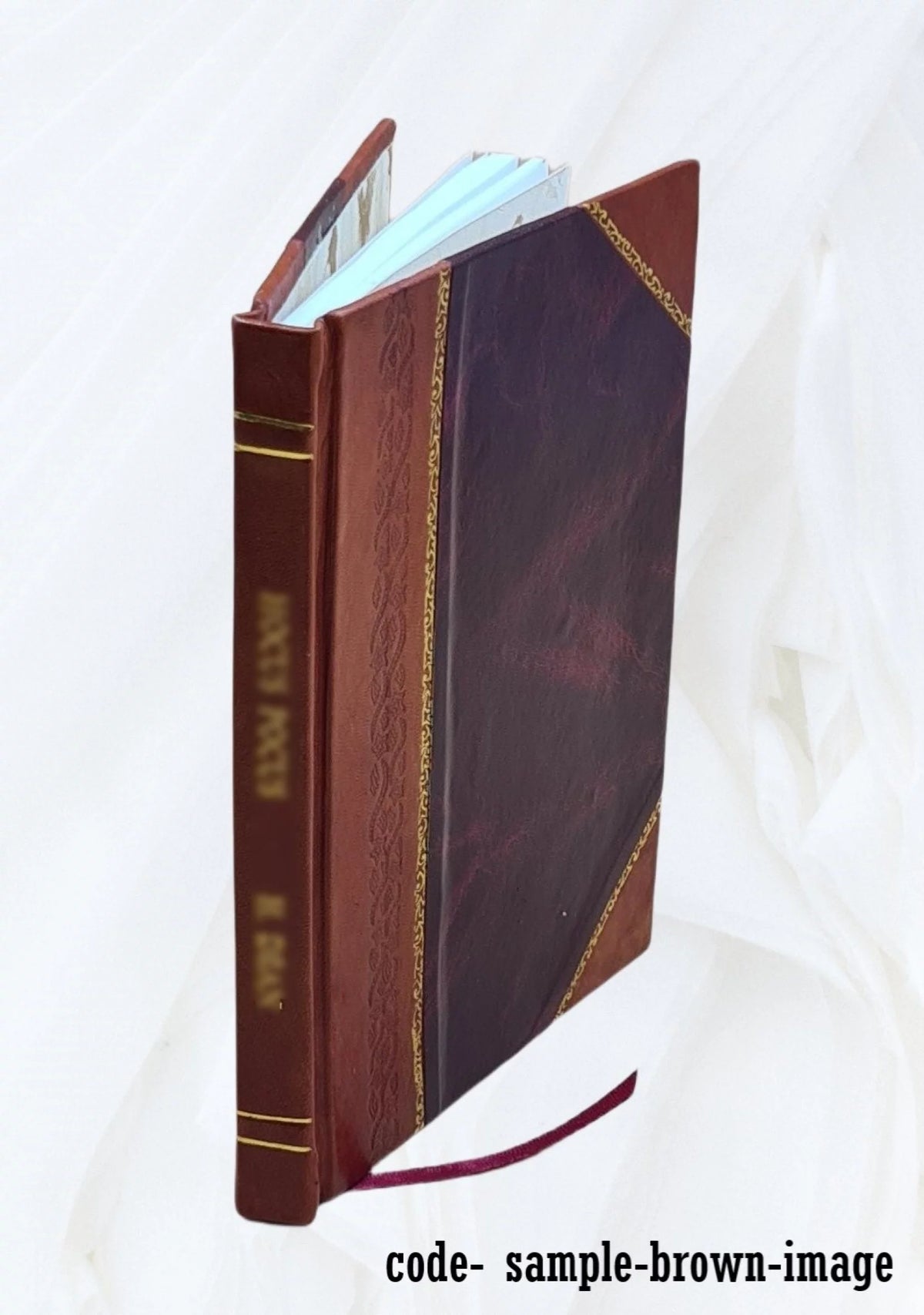 Hernia Leather Bound R460971