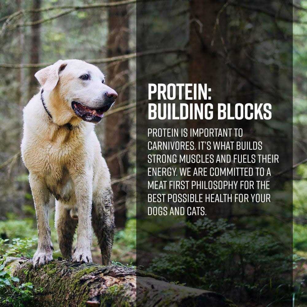 Limited Ingredient Ocean Recipe Dog Dry Food P336