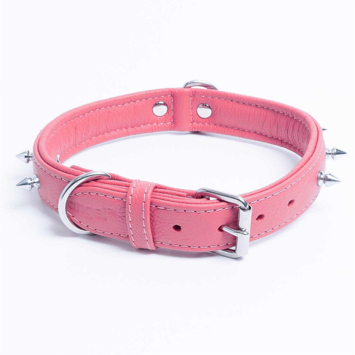 Dog Collar S600531