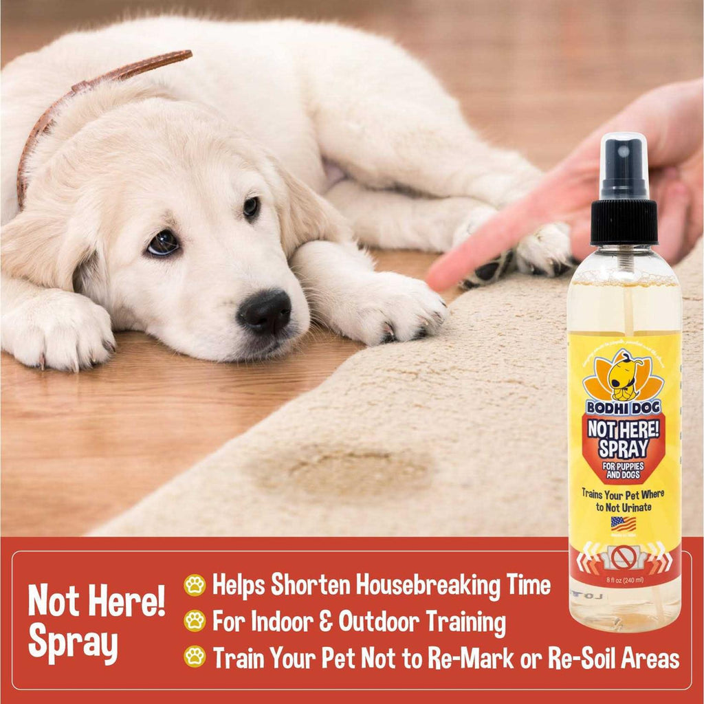 Dog Training Spray E379
