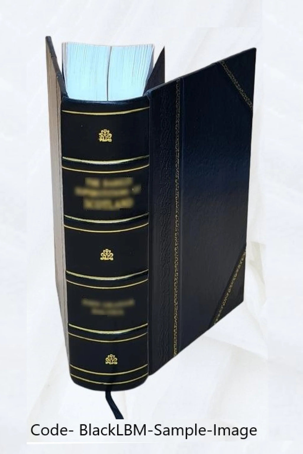 Leather Bound Book G22662